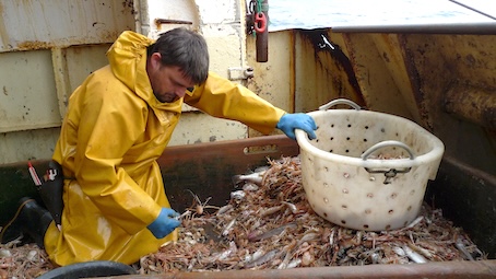 LA PECHE CHASSE.jpg